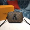 Louis Vuitton Saintonge Monogram Noir
