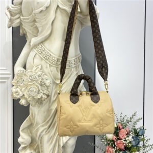 Louis Vuitton Speedy Bandouliere 25 M59008 (Varied Colors)