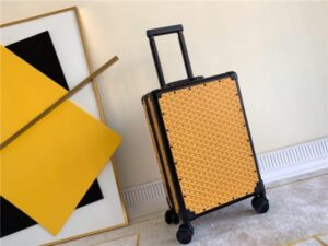 Goyard HORIZON Luggage 55 (Varied Colors)