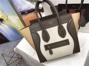 Celine Micro Luggage Tote Multicolored (Varied Colors)
