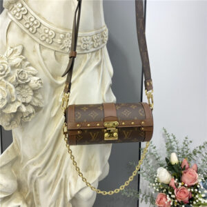 Louis Vuitton Papillon Trunk