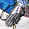 Dior Oblique Saddle Belt Bag
