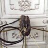Louis Vuitton Damier Ebene Eva Clutch