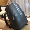 Louis Vuitton Anton Backpack (Blue/White)