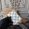Louis Vuitton Pocket Organizer Damier Infini Leather