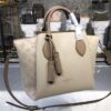 Louis Vuitton Haumea Mahina Galet Gray