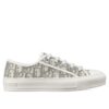 Dior Womens WalknDior Sneaker Gray