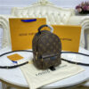 Louis Vuitton Palm Springs Mini