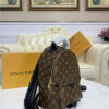 Louis Vuitton Palm Springs PM Backpack
