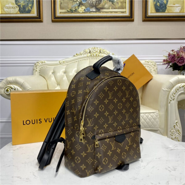 Louis Vuitton Palm Springs MM Backpack