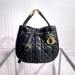 Dior Medium Dior Nolita Bag M2312 Black